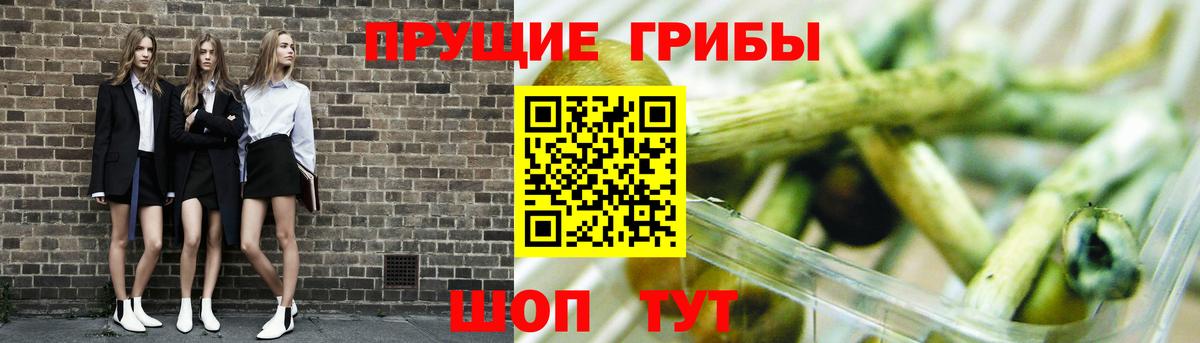 Псилоцибиновые грибы ЛСД Павлово
